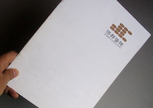 濟邦投資公司畫冊設(shè)計作品賞析 專業(yè)與創(chuàng)新的融合